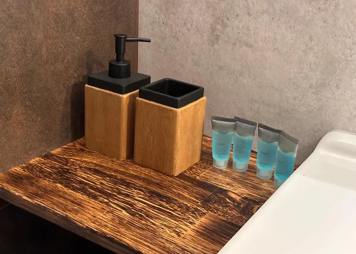 Zabrze, Agnieszka Apartment 4*