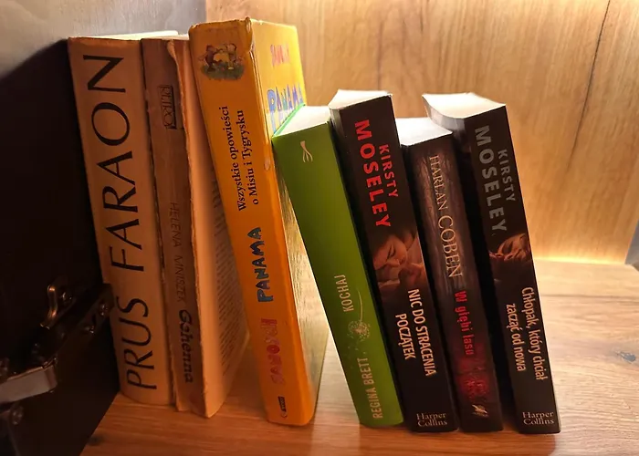 Daire Zabrze, Agnieszka 4*